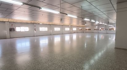 Edificio de 1.462 m² en Albatera (03340)