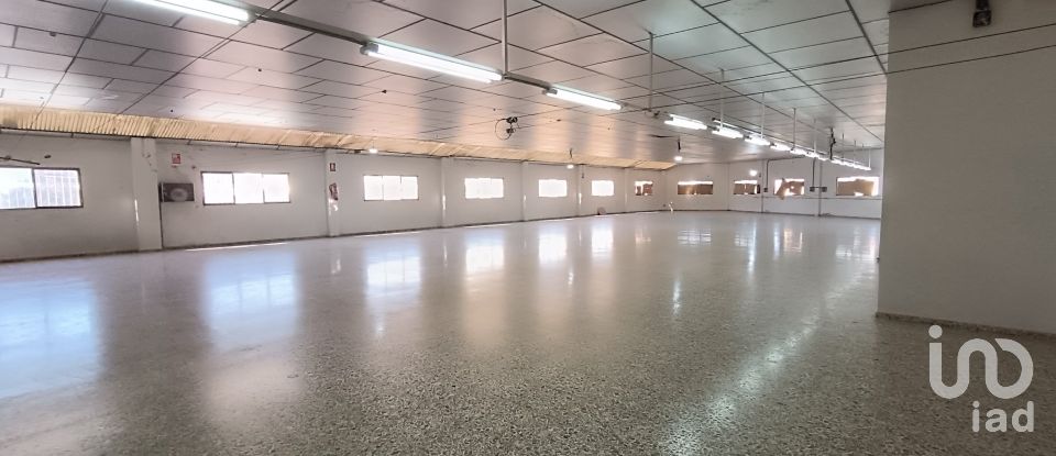 Immeuble de 1 462 m² à Albatera (03340)