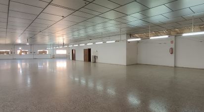 Edificio de 1.462 m² en Albatera (03340)