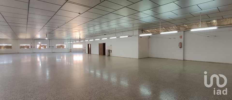 Immeuble de 1 462 m² à Albatera (03340)