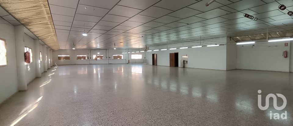 Immeuble de 1 462 m² à Albatera (03340)