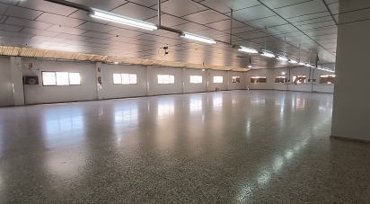 Edificio de 1.462 m² en Albatera (03340)