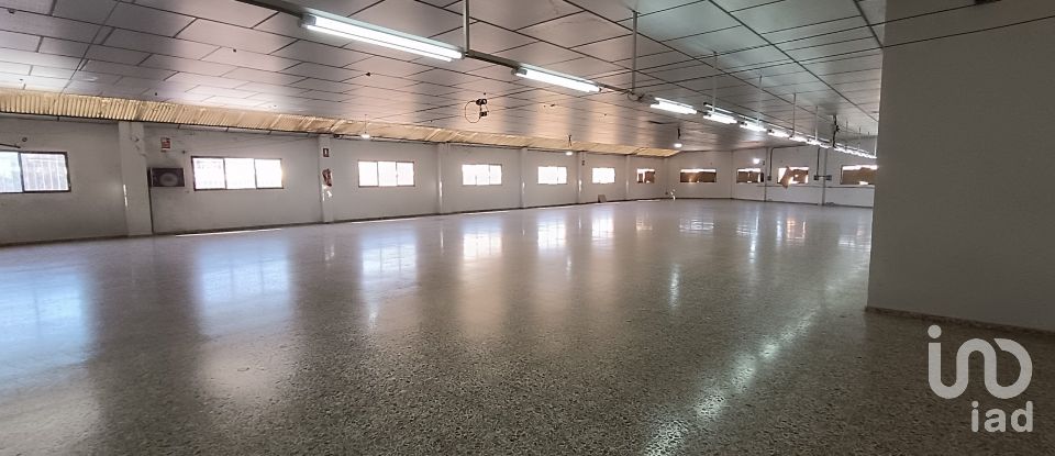 Immeuble de 1 462 m² à Albatera (03340)