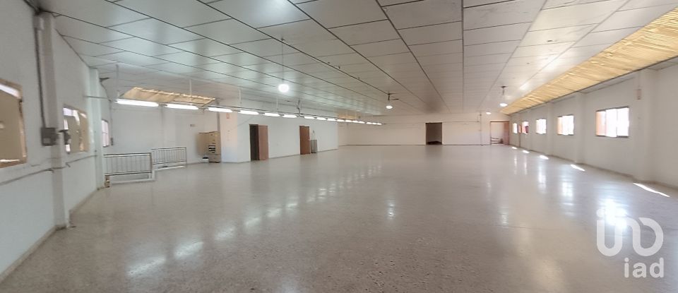 Immeuble de 1 462 m² à Albatera (03340)