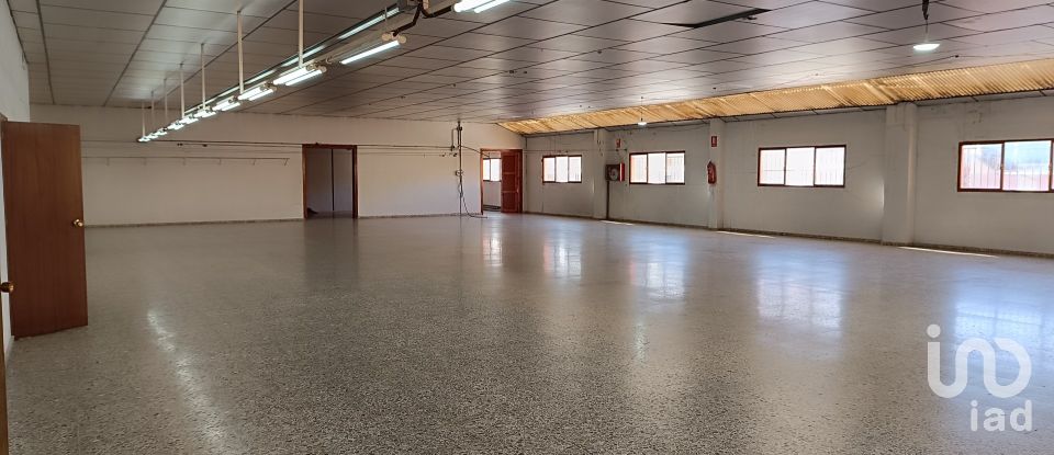 Immeuble de 1 462 m² à Albatera (03340)