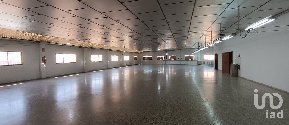 Immeuble de 1 462 m² à Albatera (03340)