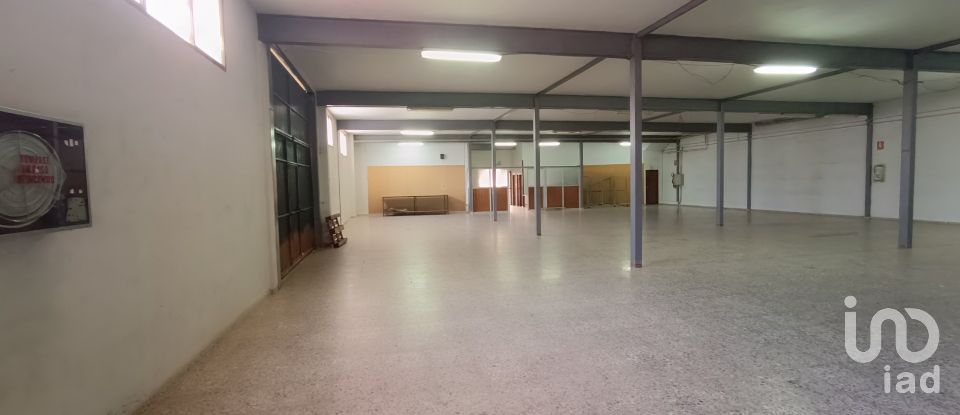 Immeuble de 1 462 m² à Albatera (03340)