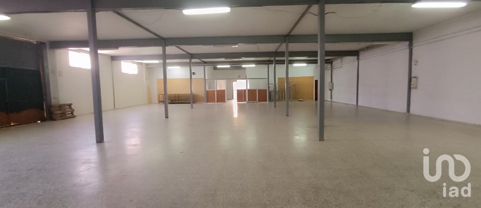 Immeuble de 1 462 m² à Albatera (03340)