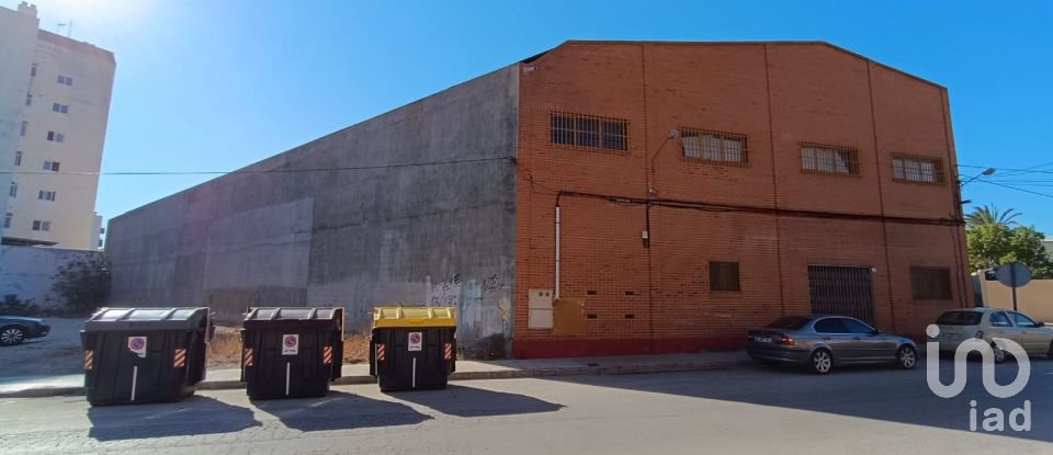 Immeuble de 1 462 m² à Albatera (03340)