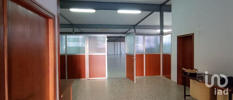 Immeuble de 1 462 m² à Albatera (03340)