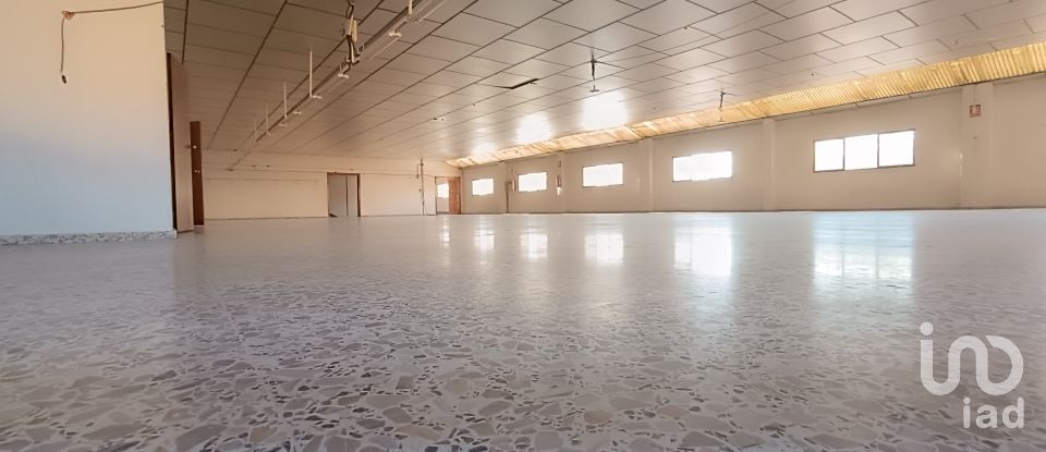 Immeuble de 1 462 m² à Albatera (03340)