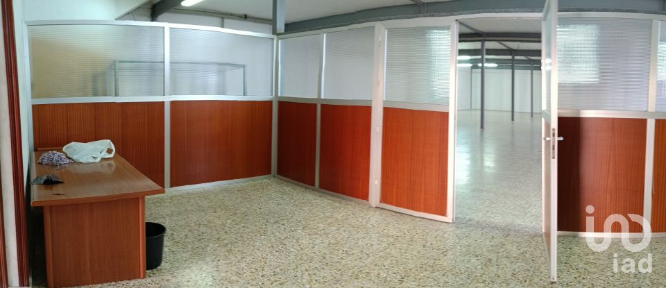 Immeuble de 1 462 m² à Albatera (03340)