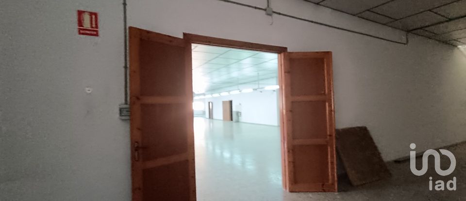 Immeuble de 1 462 m² à Albatera (03340)