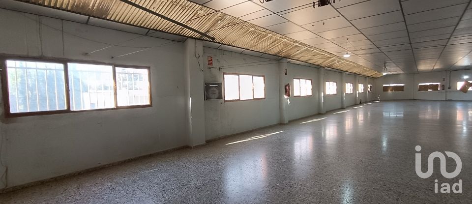 Immeuble de 1 462 m² à Albatera (03340)