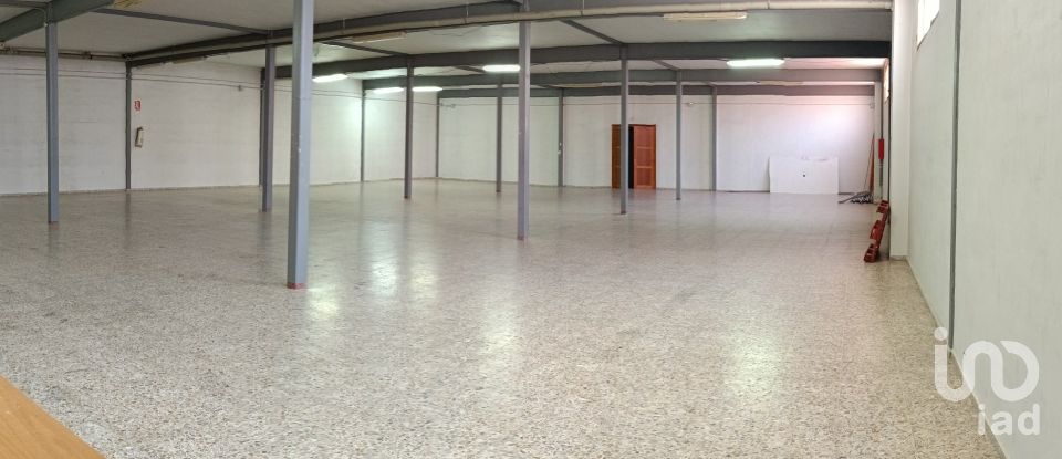 Immeuble de 1 462 m² à Albatera (03340)