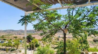 Casa rústica 3 habitaciones de 87 m² en El/Hondon de Las Nieves Fondo de Les Neus (03688)