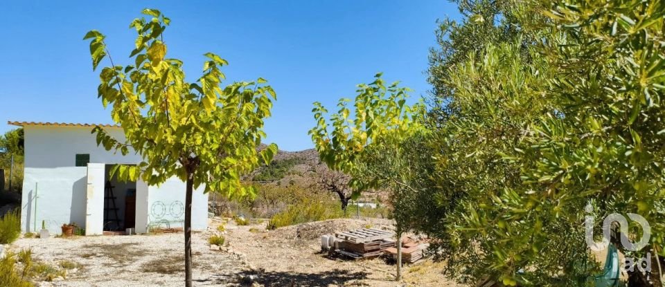 Casa rústica 3 habitacions de 87 m² a El/Hondon de Las Nieves Fondo de Les Neus (03688)