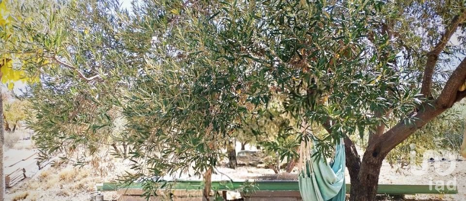 Casa rústica 3 habitacions de 87 m² a El/Hondon de Las Nieves Fondo de Les Neus (03688)