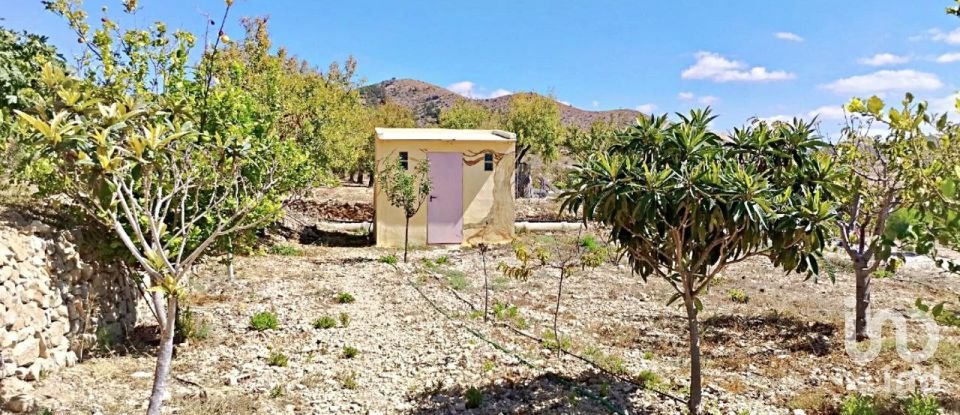 Casa rústica 3 habitacions de 87 m² a El/Hondon de Las Nieves Fondo de Les Neus (03688)