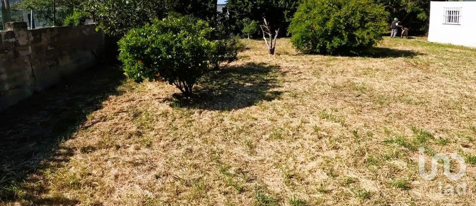 Terreno de 1.250 m² en Tarifa (11380)