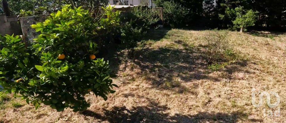 Terreno de 1.250 m² en Tarifa (11380)