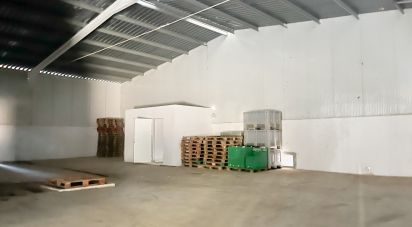 Shop / premises commercial of 3,100 m² in Casabermeja (29160)