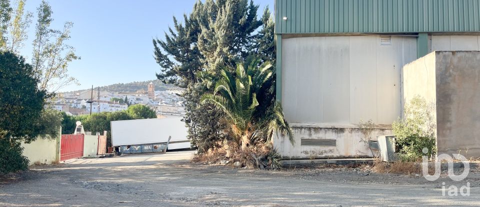 Shop / premises commercial of 3,100 m² in Casabermeja (29160)