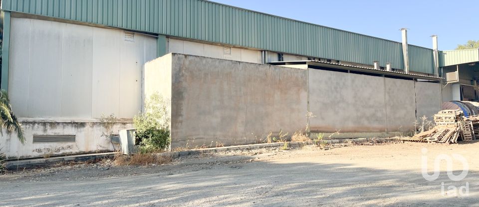 Shop / premises commercial of 3,100 m² in Casabermeja (29160)