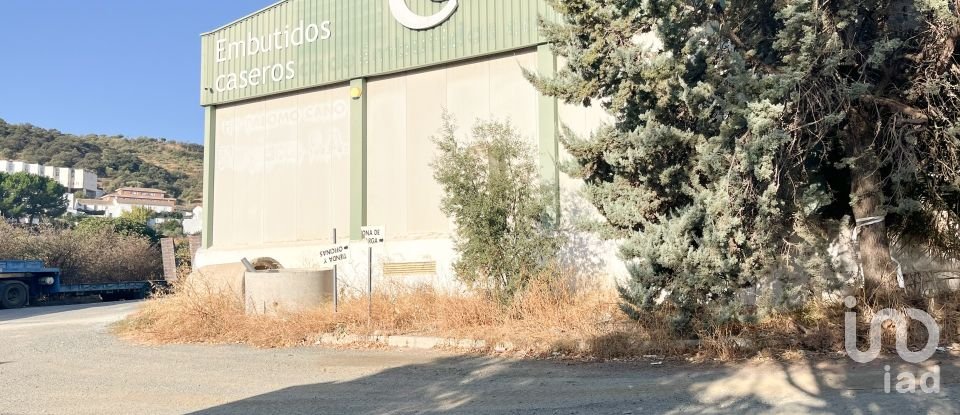 Shop / premises commercial of 3,100 m² in Casabermeja (29160)