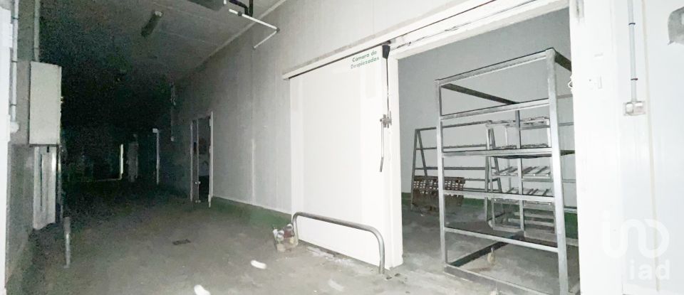 Shop / premises commercial of 3,100 m² in Casabermeja (29160)