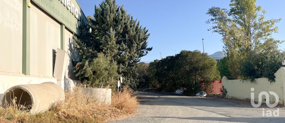 Shop / premises commercial of 3,100 m² in Casabermeja (29160)