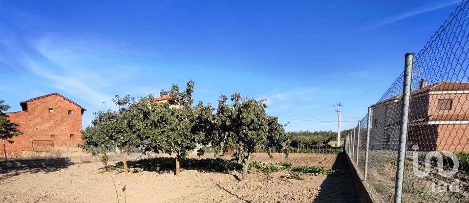 Casa rústica 4 habitaciones de 184 m² en Villares de Órbigo (24288)