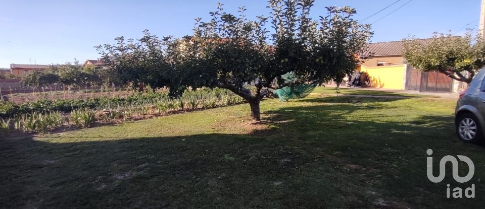 Casa rústica 4 habitaciones de 184 m² en Villares de Órbigo (24288)