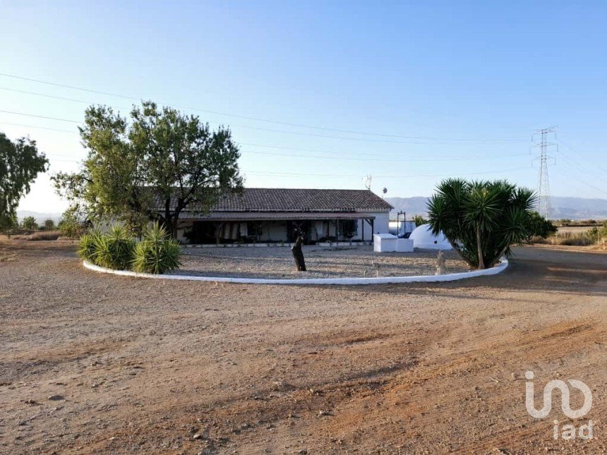 House 3 bedrooms of 293 m² in Campo Lopez (30815)