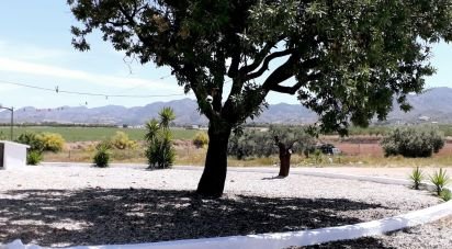 House 3 bedrooms of 293 m² in Campo Lopez (30815)