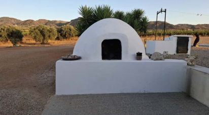 House 3 bedrooms of 293 m² in Campo Lopez (30815)