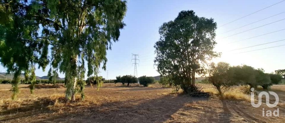 House 3 bedrooms of 293 m² in Campo Lopez (30815)