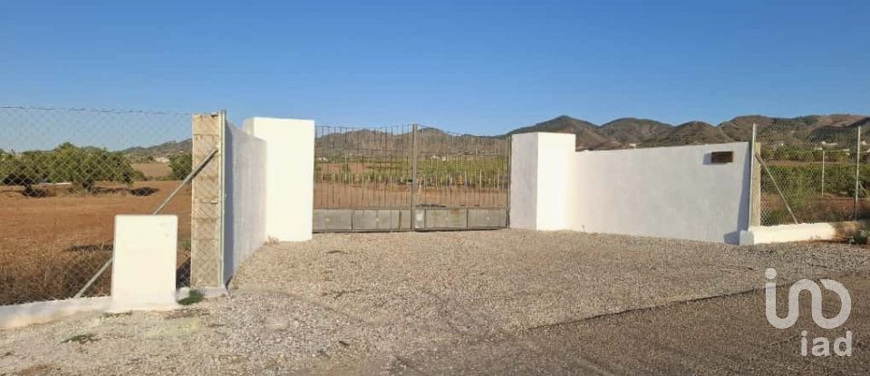 House 3 bedrooms of 293 m² in Campo Lopez (30815)