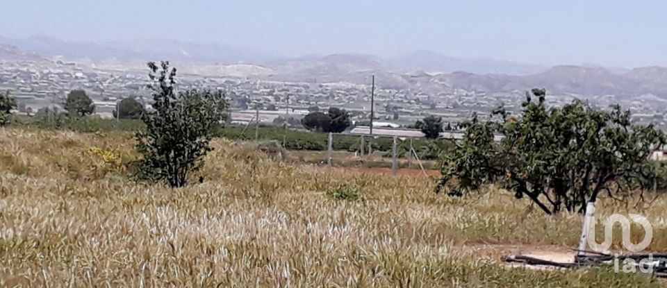 House 3 bedrooms of 293 m² in Campo Lopez (30815)