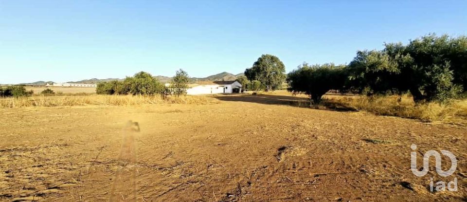 House 3 bedrooms of 293 m² in Campo Lopez (30815)