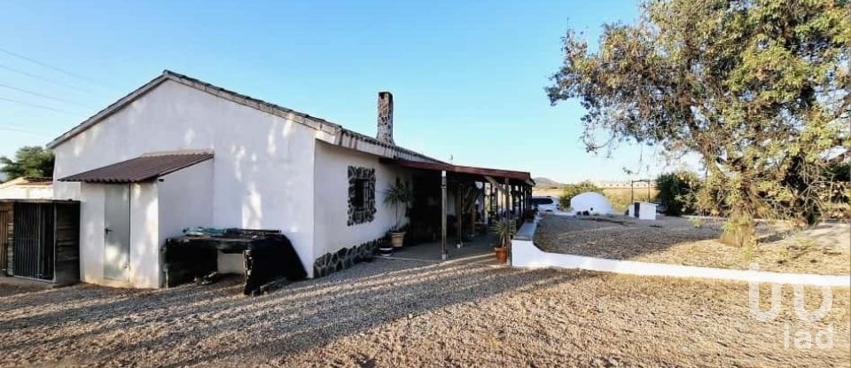 House 3 bedrooms of 293 m² in Campo Lopez (30815)