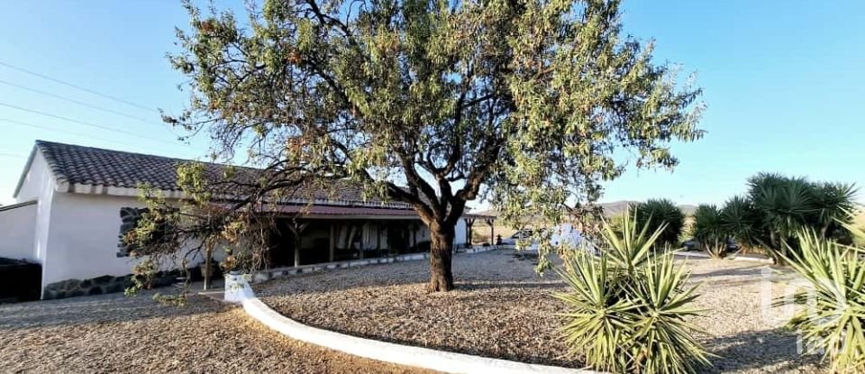 House 3 bedrooms of 293 m² in Campo Lopez (30815)