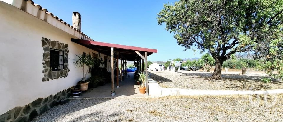 House 3 bedrooms of 293 m² in Campo Lopez (30815)