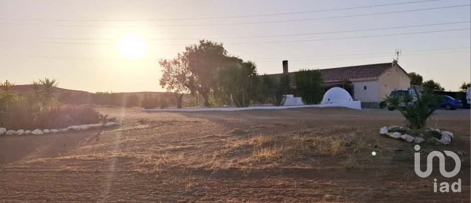 House 3 bedrooms of 293 m² in Campo Lopez (30815)