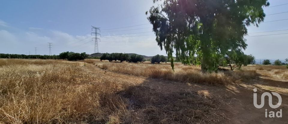 House 3 bedrooms of 293 m² in Campo Lopez (30815)