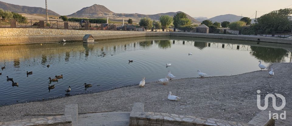 Casa rural 5 habitaciones de 266 m² en Aviles (30812)