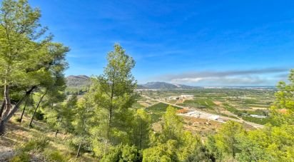 Building plot of 3,000 m² in Ador (46729)