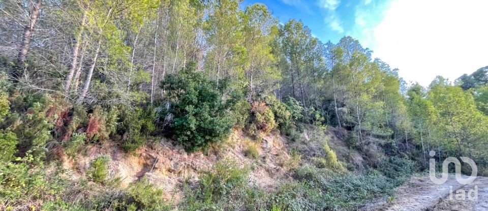 Terreno urbano de 3.000 m² en Ador (46729)