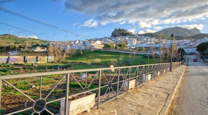 Terreny de 20.342 m² a Ardales (29550)