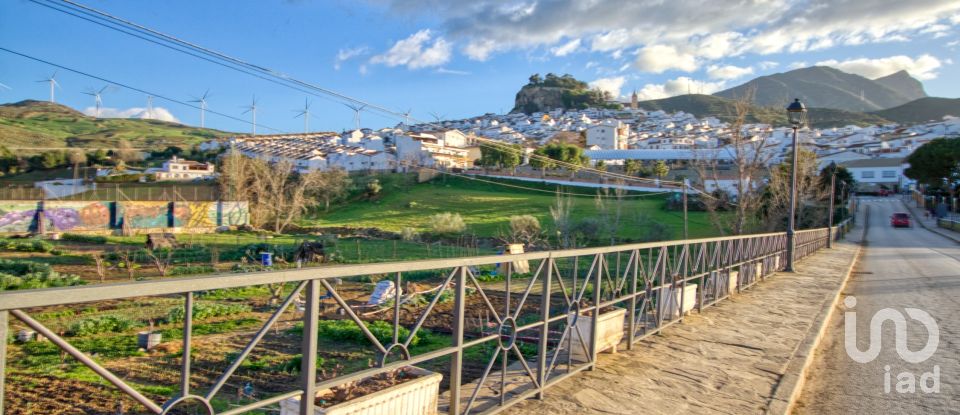 Terrain de 20 342 m² à Ardales (29550)